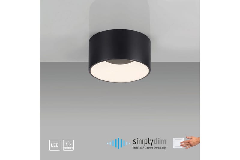Tanika Just Light Taklampa - Black - Products - Belysning - Lampor & belysning inomhus - Taklampa & takbelysning - Takplafond