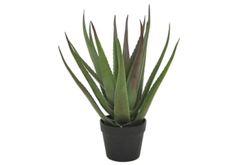 Konstväxt Alovera med Kruka - Grön/Svart - Products - Inredning - Dekoration & inredningsdetaljer - Prydnadssaker - Blomsterdekoration