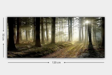 Canvastavla YTY Landscape & Nature Flerfärgad - 120x50 cm - Products - Inredning - Tavlor & posters - Canvastavla