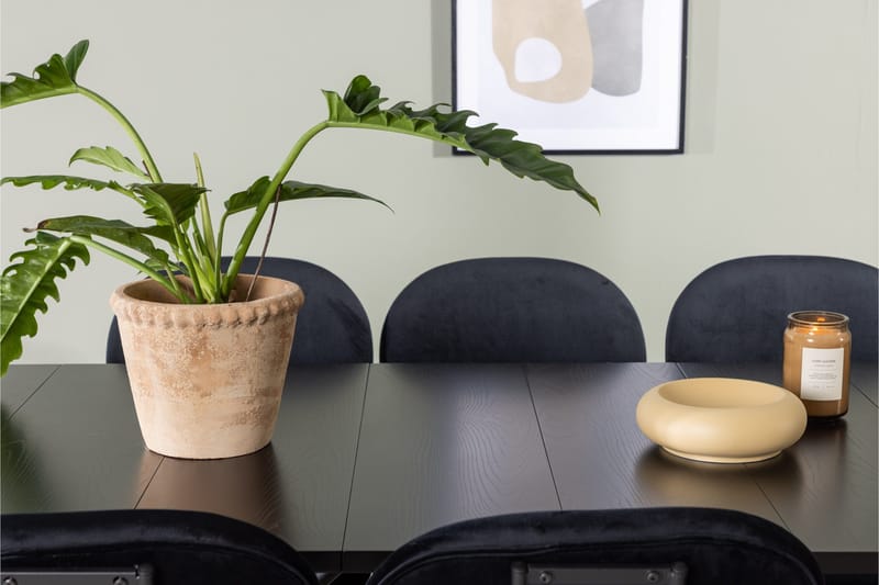 Astrid Matgrupp 200 cm Rektangulär med 6 Stella stolar - Svart - Products - Möbler - Bord & matgrupp - Matgrupp