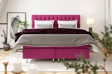 Celine Sängpaket 210x210cm - Rosa / Sammet - Products - Möbler - Säng - Kontinentalsäng