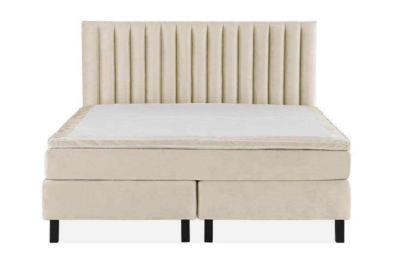 Princess Kontinentalsäng 160x200cm - Beige/Sammet - Products - Möbler - Säng - Kontinentalsäng
