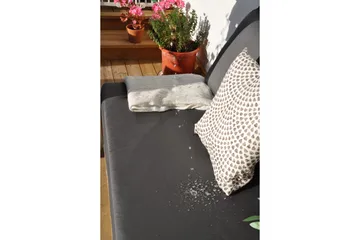 Royal Palle Sitsdyna 120x80 cm Vattenavvisande Svart - Fritab - Products - Utemöbler & utemiljö - Dynor - Sittdyna & ryggdyna utemöbler