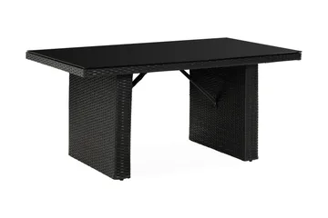 James Utebord 85x145 cm – Matbord utomhus i konstrotting med bordsskiva i Glas