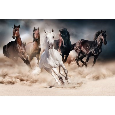 Glastavle Horses - 120x80 cm