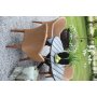 Valetta udendrs stol rattan - Nature