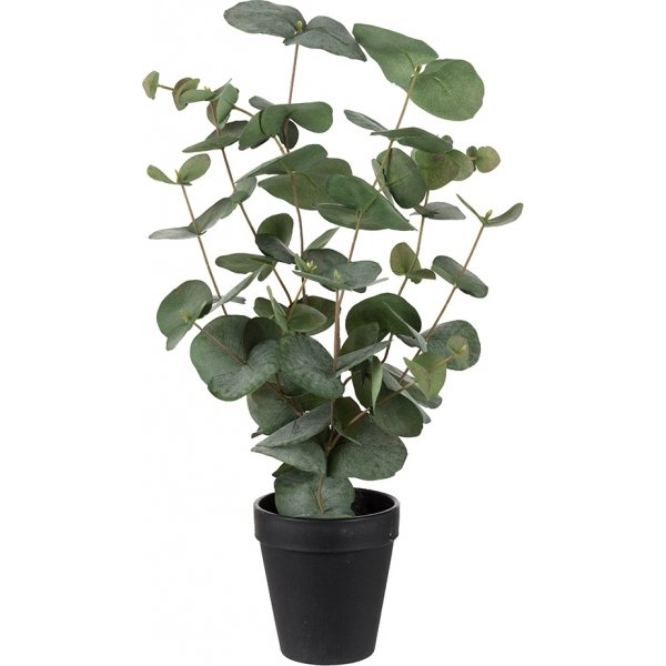Eucalyptus kunstig plante