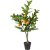 Citrus kunstig plante Citrus kunstig plante