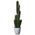 Kunstig plante - Kaktus H68 cm