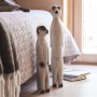 Meerkat dekoration - Creme