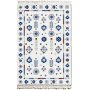 Plesman 49 tppe - 120 x 180 cm