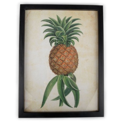 Maleri Ananas