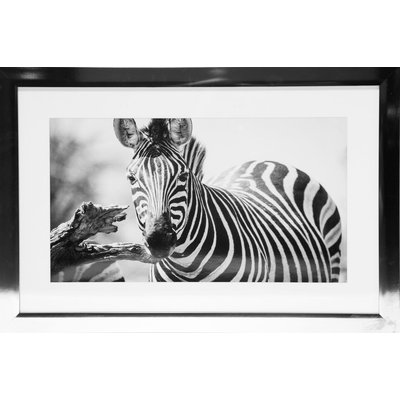 Maleri med forkromet ramme (Zebra) - 40x60 cm