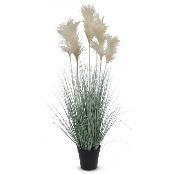 Kunstig plante - Grs/Pampas H82 cm