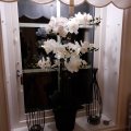 Kundebillede Kunstig plante - Orkidé 9 opstammet H90 cm - Hvid