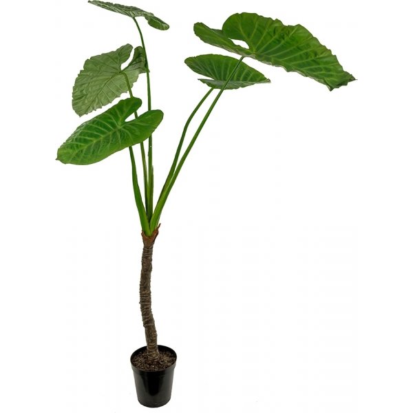 Alocasia kunstig plante