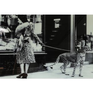 Glasbillede Cheeta - 150x100 cm