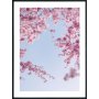 Posterworld - Motiv Blomst p himlen - 50x70 cm