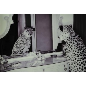 Glasmaleri - Cheeta - 100x150 cm