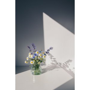 Plakat - Blomster