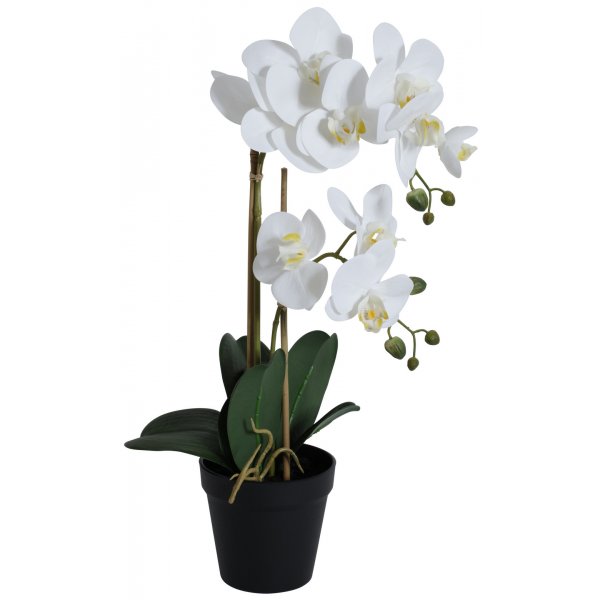 Kunstig plante - Orkid 2 stammet H54 cm - Hvid