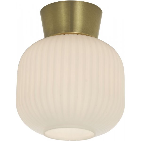 Vanja plafond - Hvid/mat messing