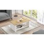 Luvio sofabord 14, 100x50 cm - Eg/hvid