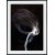 Posterworld - Motiv Smoke - 70 x 100 cm
