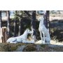 Aston dekoration - hunde - Creme