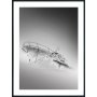 Posterworld - Motiv Skibsvrag - 50x70 cm