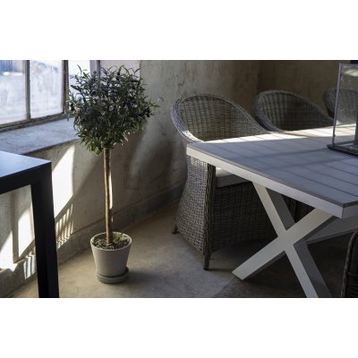Spisebordsst Mercury bord inkl. 6 lnestole - polyrattan / Hvid aluminium + Pletfjerner til mbler