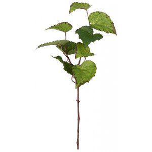 Rexbegonia kunstig plante